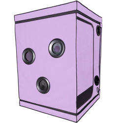 SECRET DOME - KINK CLUB CABIN SCANDALE PURPLE