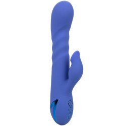 CALEXOTICS - L.A LOVE VIBRATOR and SUCTION BLUE BY CALIFORNIA DREAMING
