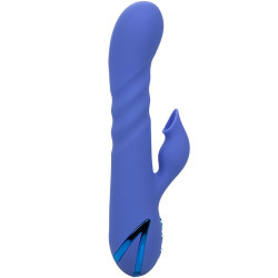 CALEXOTICS - L.A LOVE VIBRATOR and SUCTION BLUE BY CALIFORNIA DREAMING